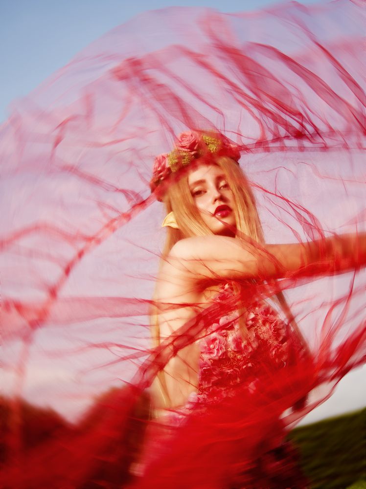 Photograph by Studio AlVi