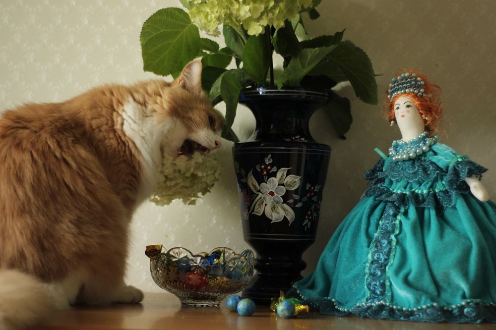 Photograph by Анастасия Липаткина