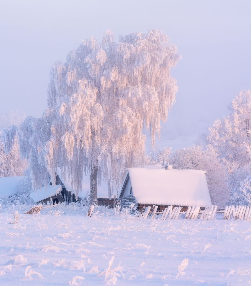 Photograph by  Михаил