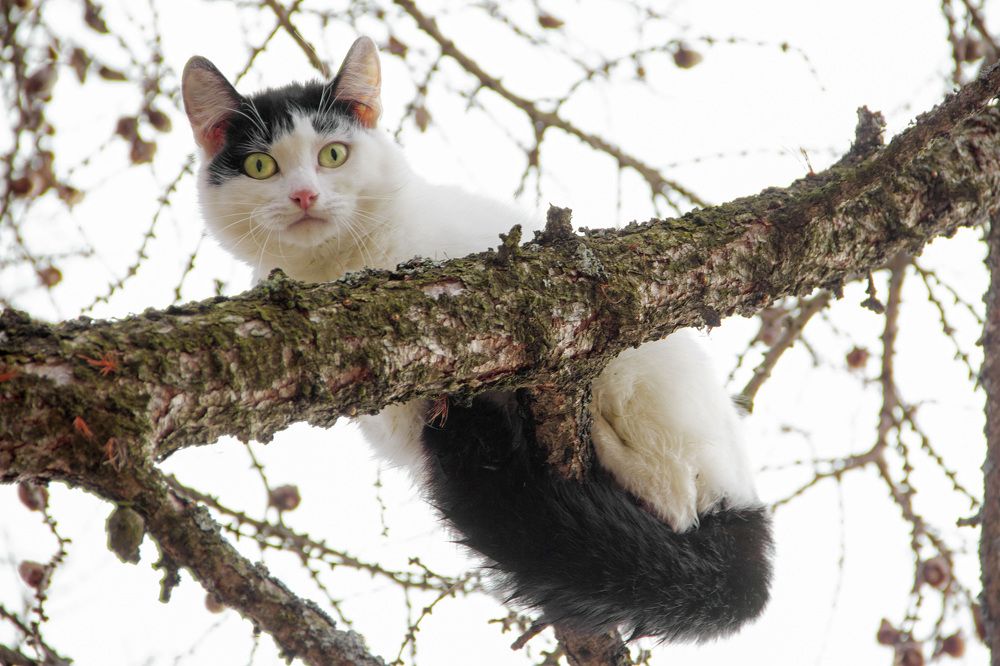 Photograph by Анастасия Северюхина