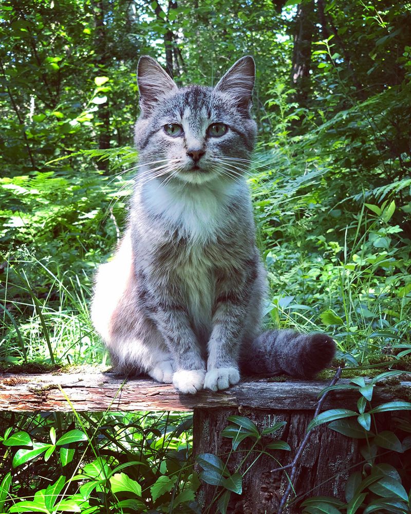 Photograph by Halina Mitsevich