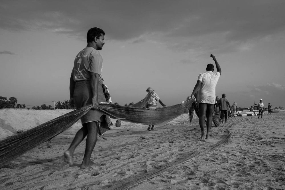 Photograph by Sajeeth