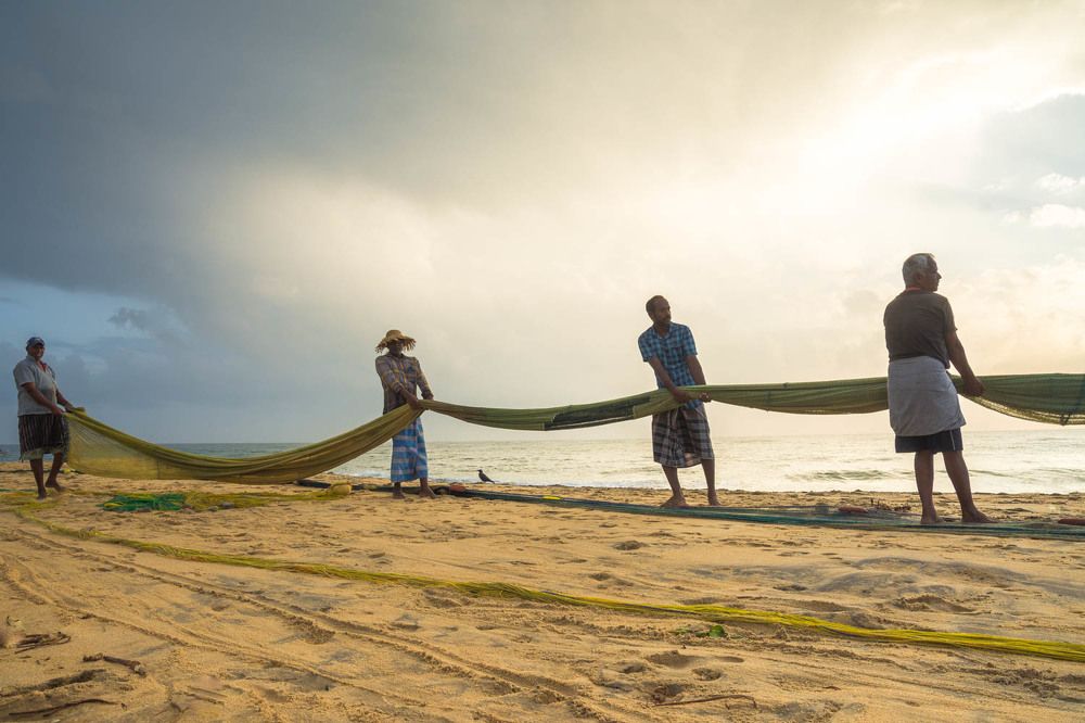 Photograph by Sajeeth