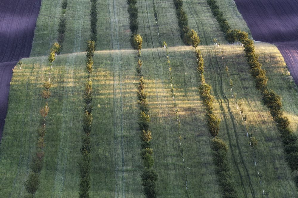 Photograph by Dennis Vagner