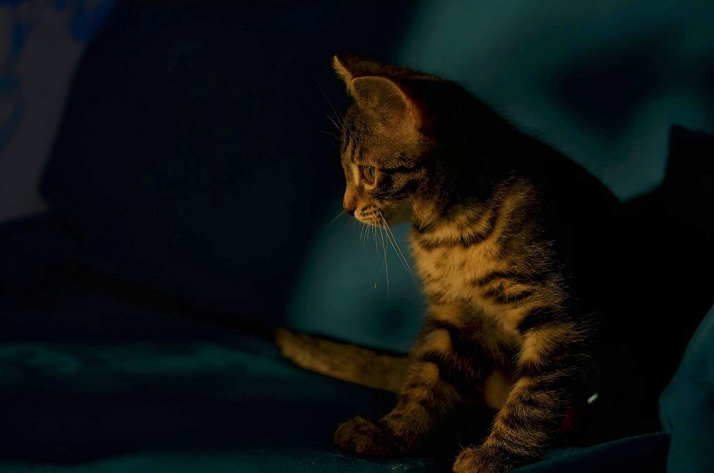 Photograph by Галина Карманова