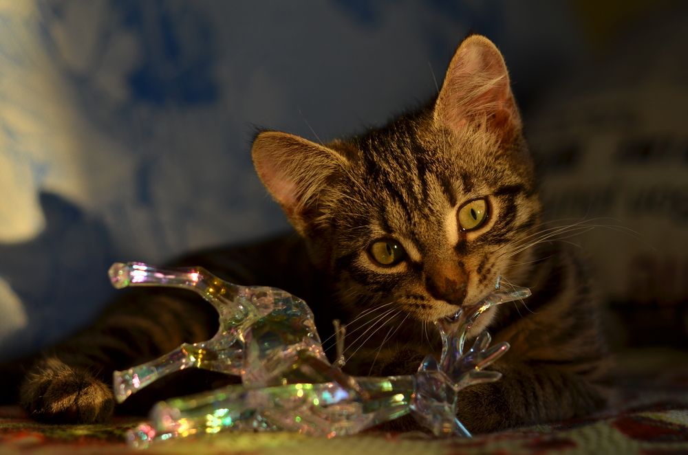 Photograph by Галина Карманова