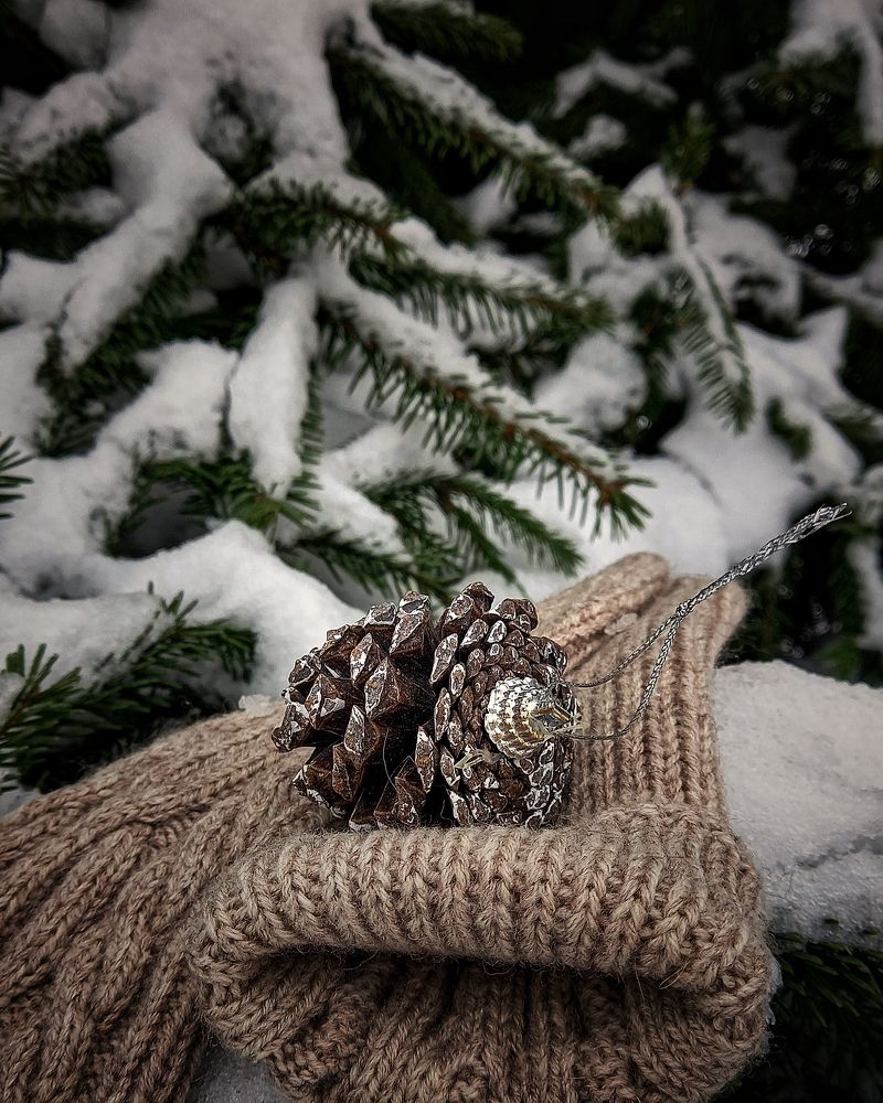 Photograph by Svetlana Yurasova