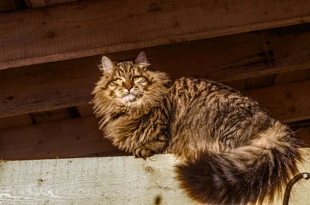 Photograph by Алексей Логинов