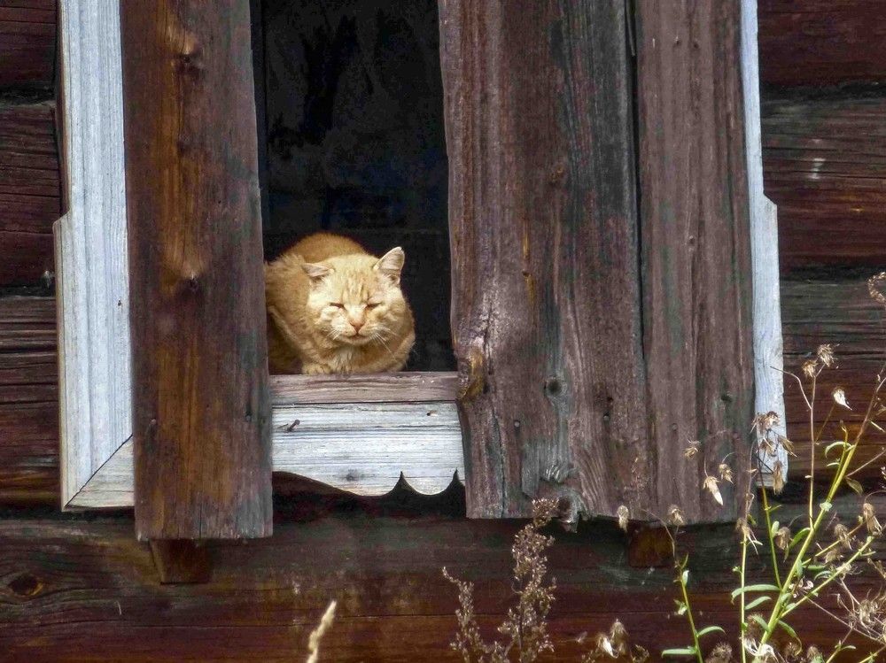 Photograph by Алексей Логинов