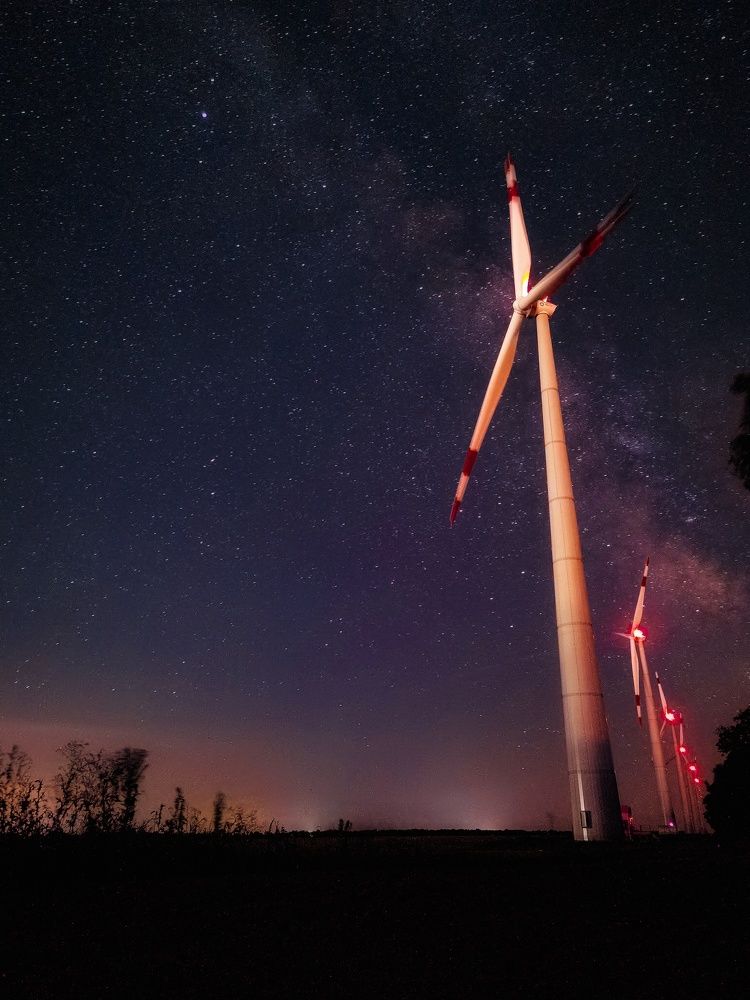 Photograph by Милородова Наталья