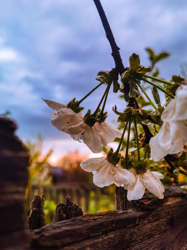 Photograph by Милородова Наталья