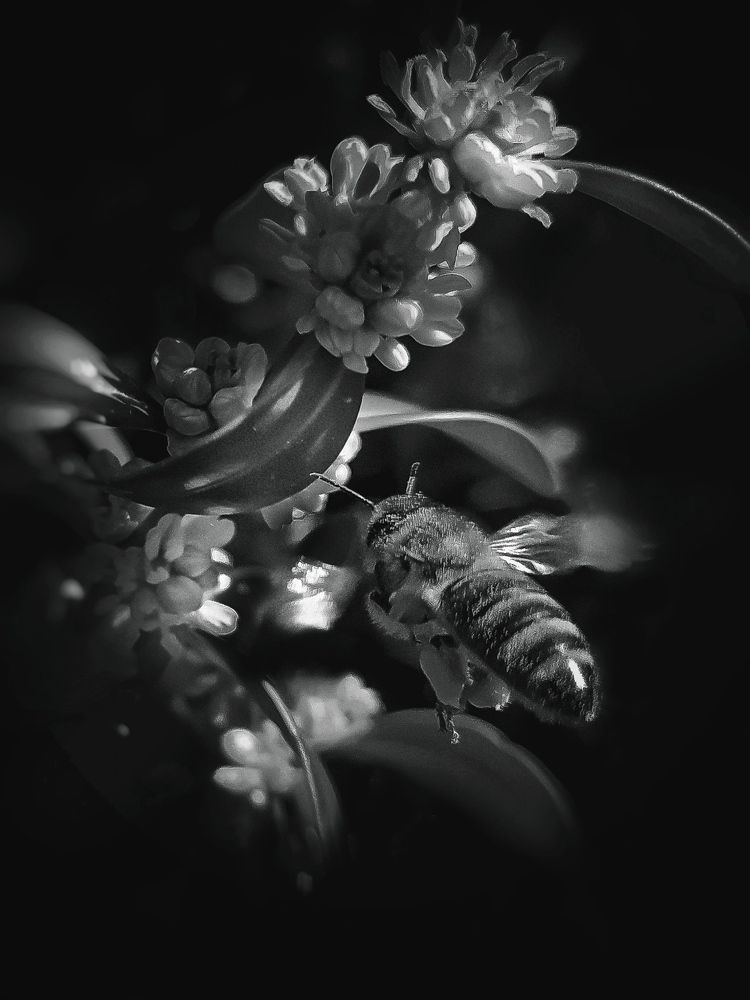 Photograph by Виктория Косинская