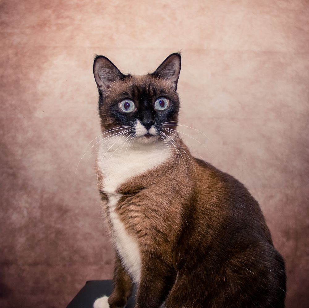 Фотография автора Алексей Клоков