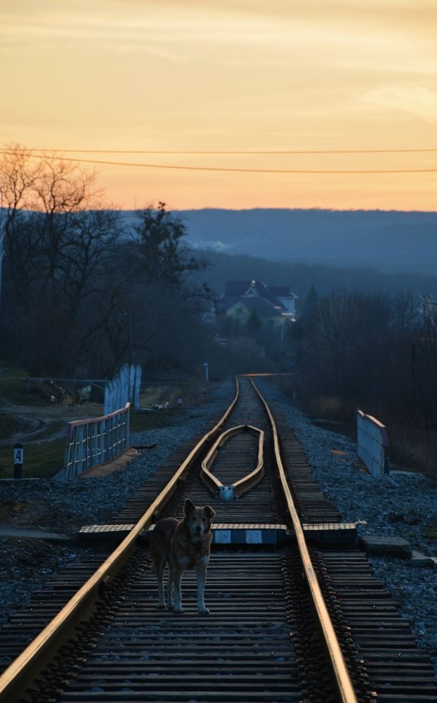 Photograph by Дарья Кирина