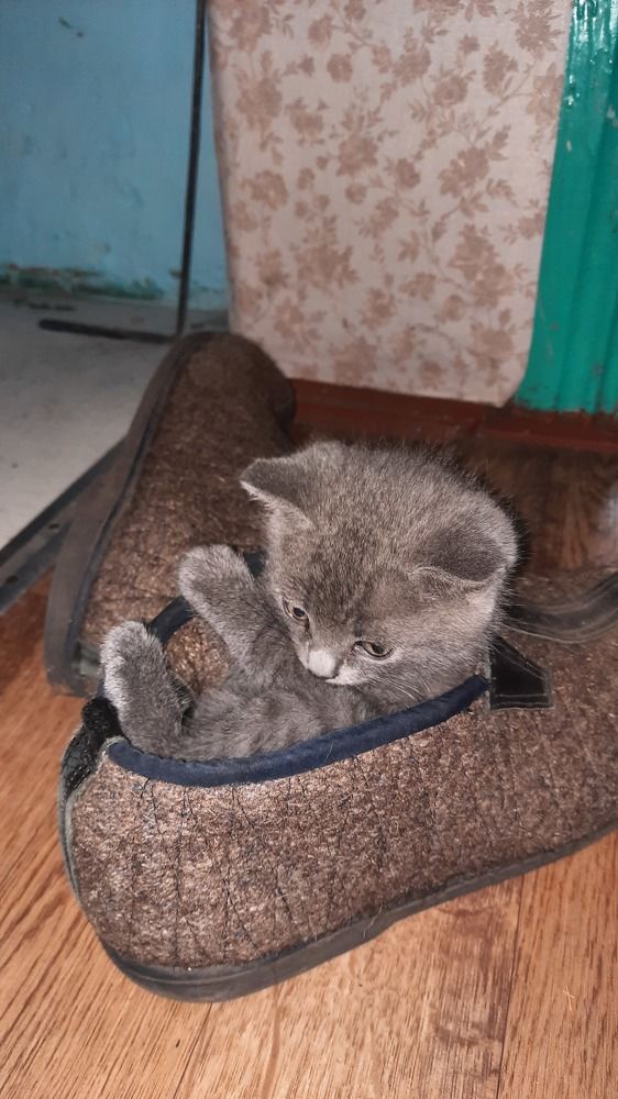 Photograph by Ирина Петракович