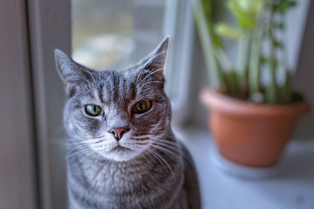 Photograph by Никита Борзов