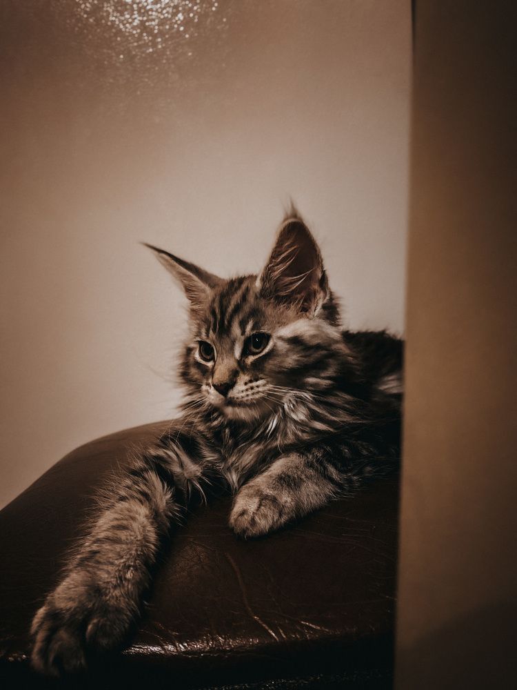 Photograph by Кристина