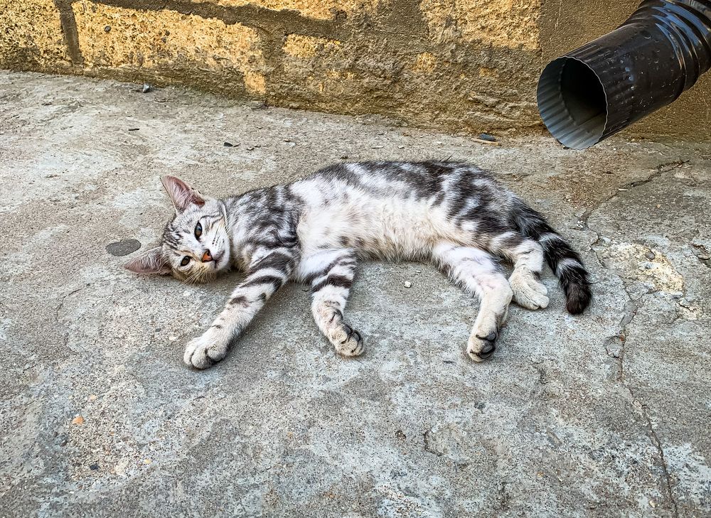 Photograph by Никита Борзов