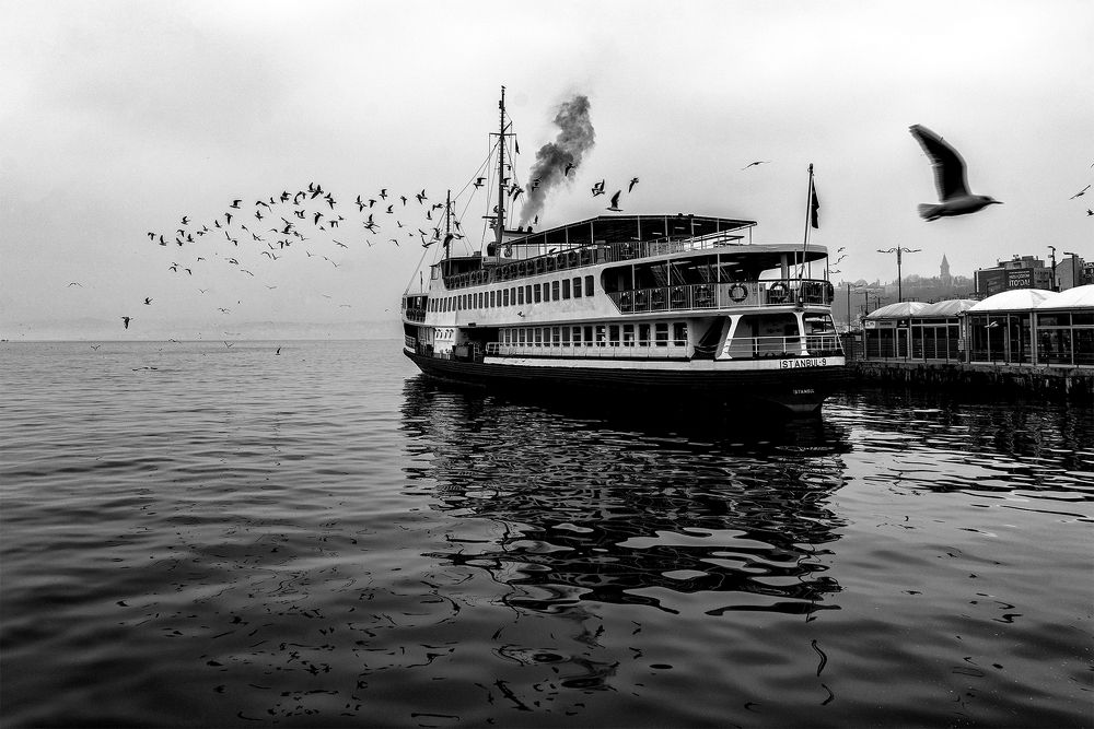 Фотография автора Fikriye Er