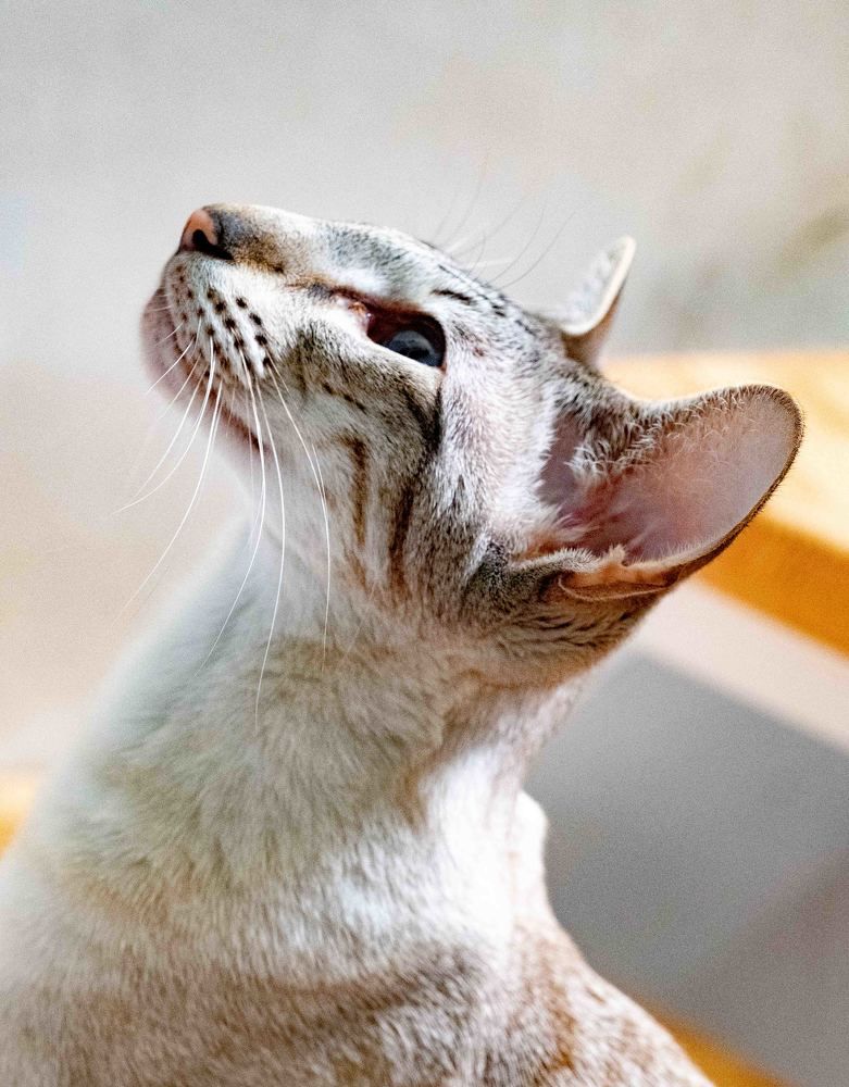 Photograph by Юрий Чернов