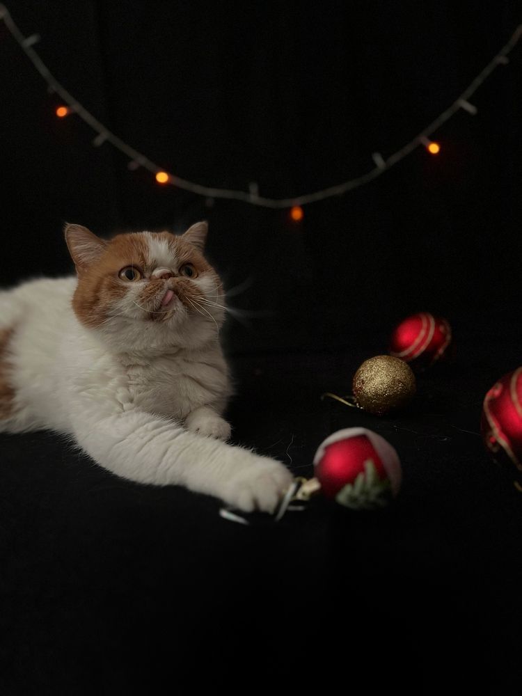 Photograph by Виктория Кузнецова