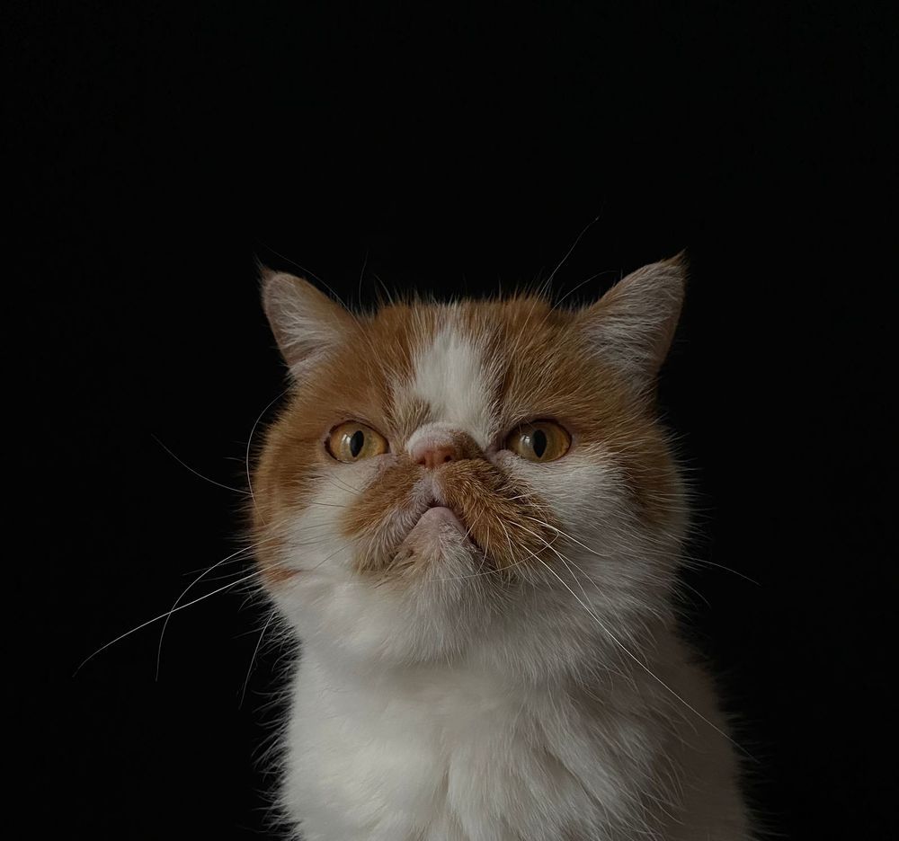 Photograph by Виктория Кузнецова