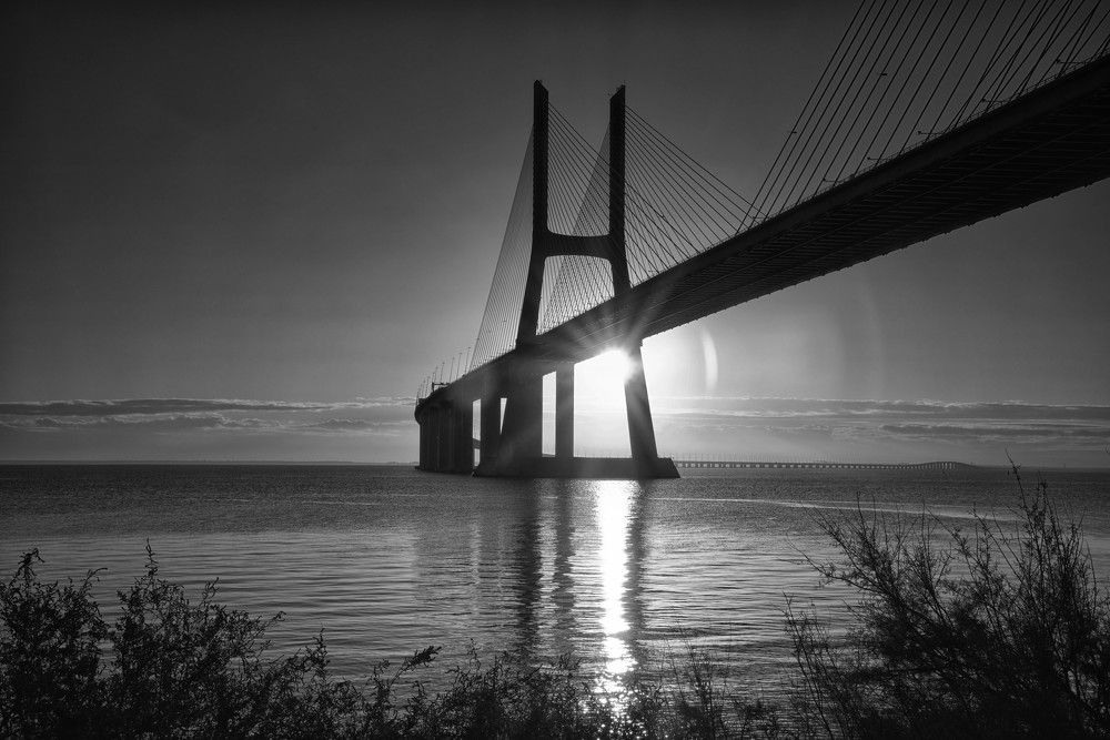 Photograph by Mário C.