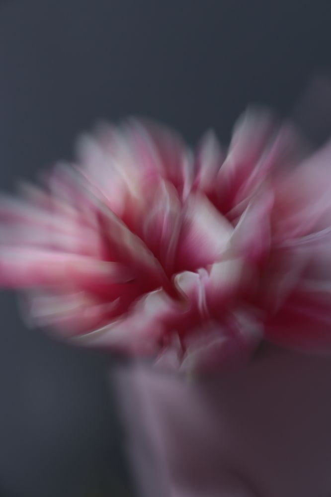 Photograph by Анастасия Слободская