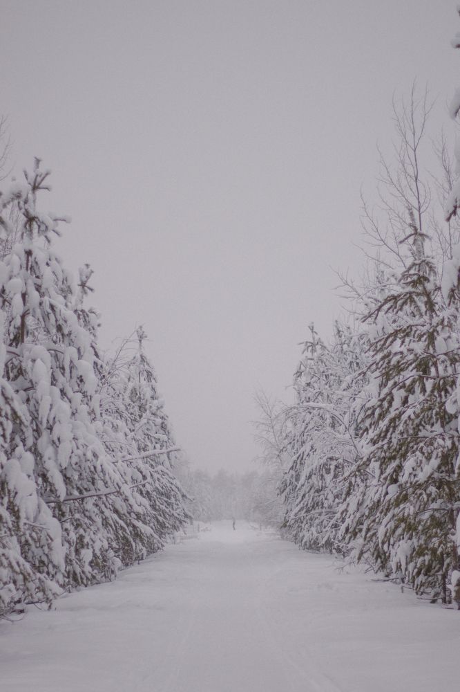 Photograph by Ольга Денисова