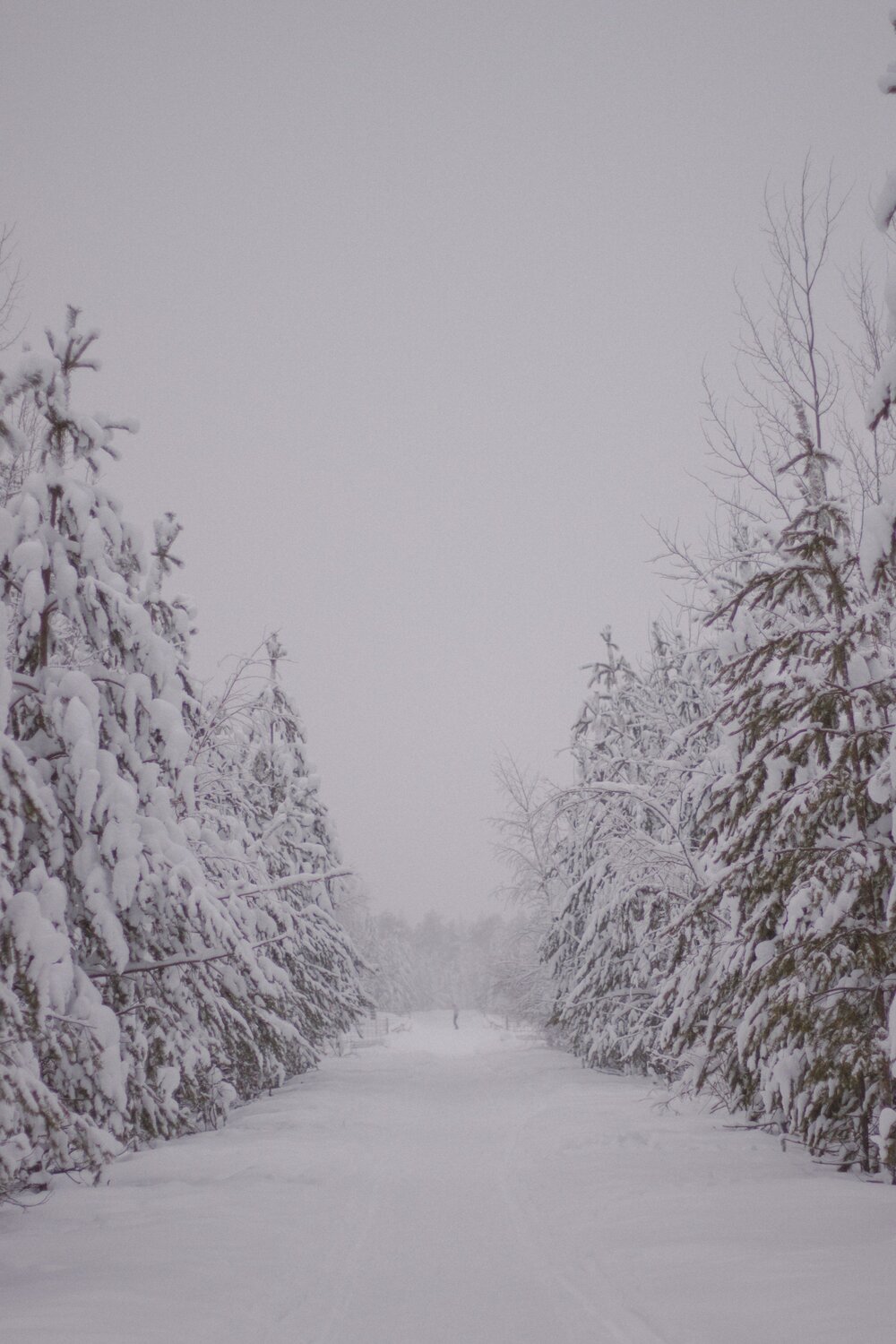 Photo #8653313