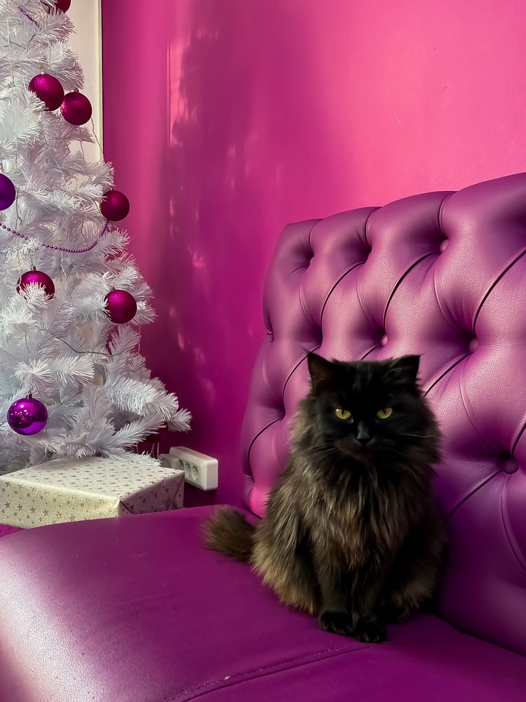 Photograph by Елена Сиушова