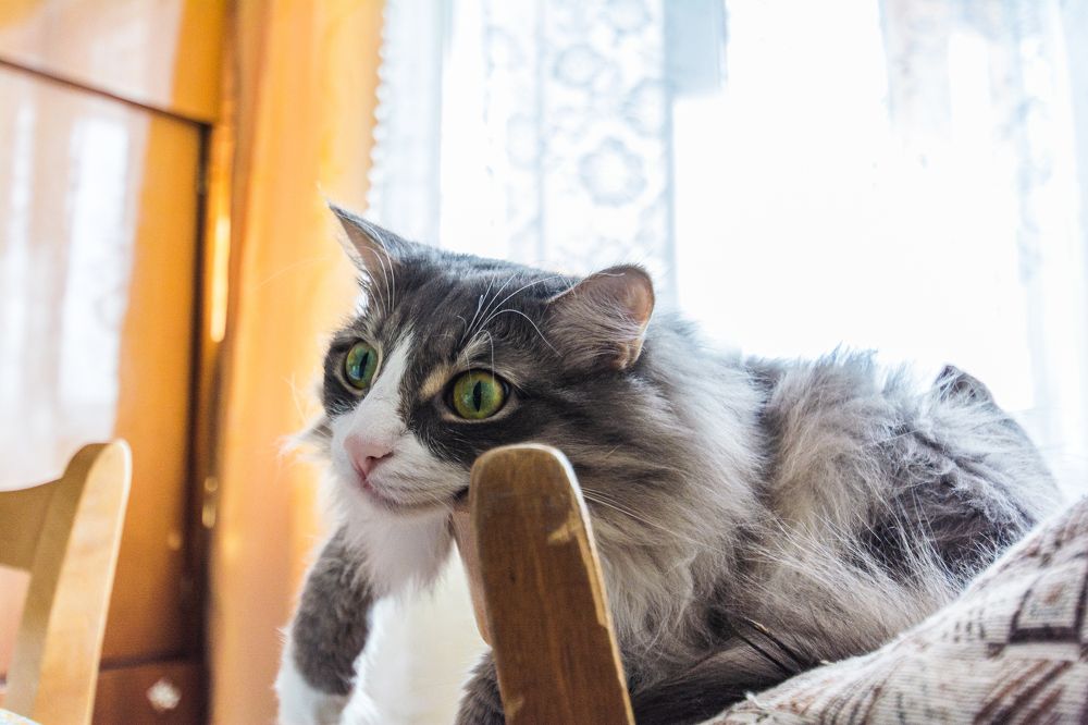 Photograph by Артём Александрович