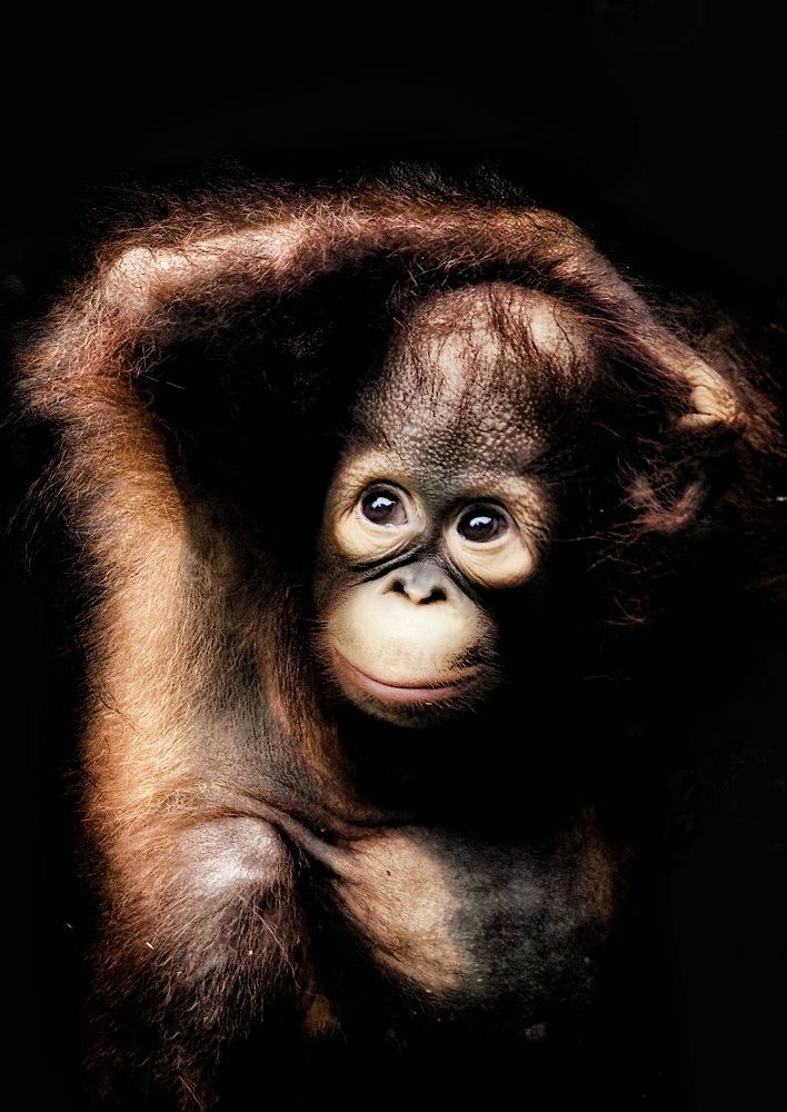 Photograph by Putra Igo