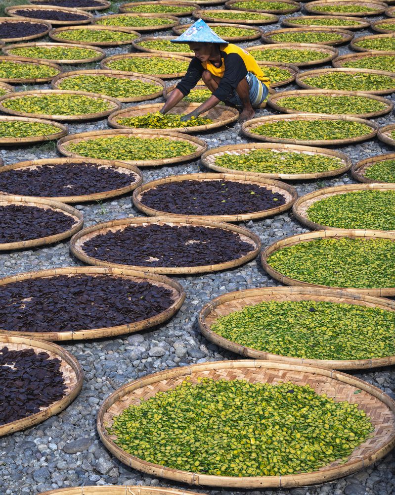 Photograph by Maria Aulia Sandjaja