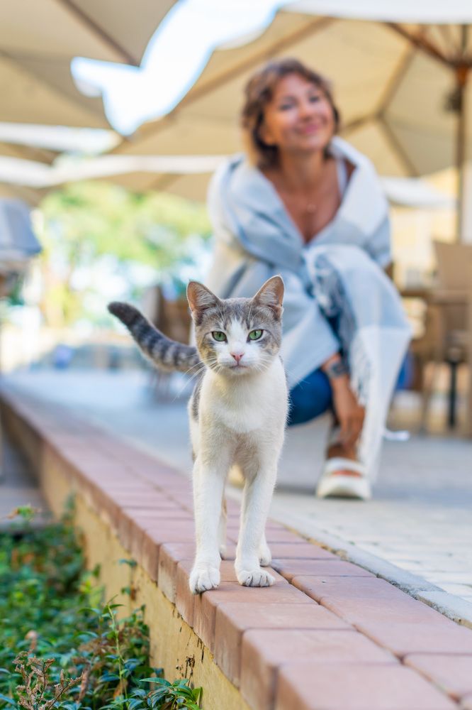 Photograph by Роман Крутов