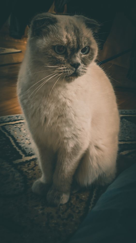 Photograph by Denis Bocharov