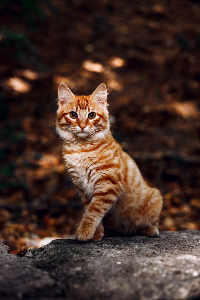 Photograph by Роман Крутов