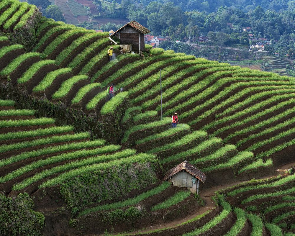 Photograph by Maria Aulia Sandjaja