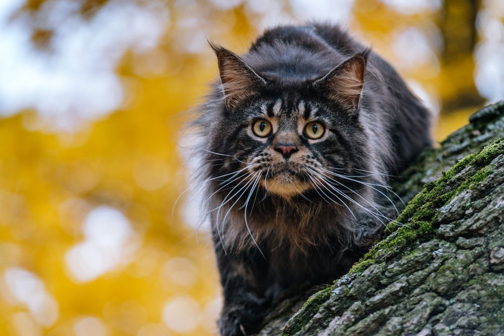 Photograph by Мария Новоселецкая