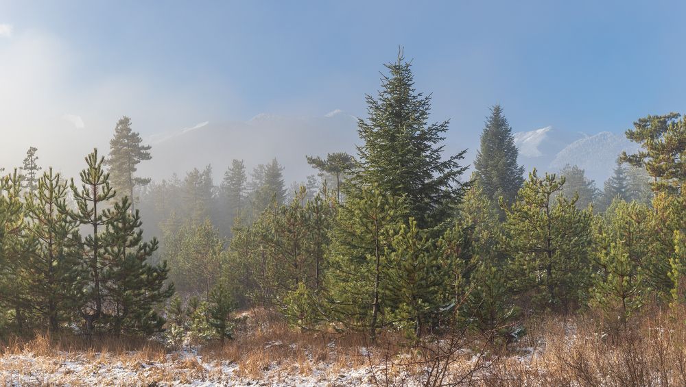 Photograph by Taтьяна Войлокова