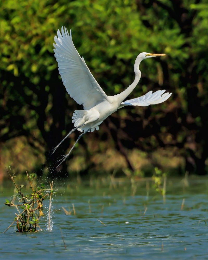 Photograph by Shafiullah Hares