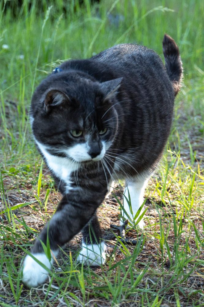 Фотография автора Марина Тирских