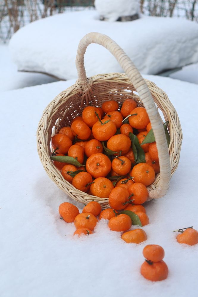 Photograph by Марина Тимонова