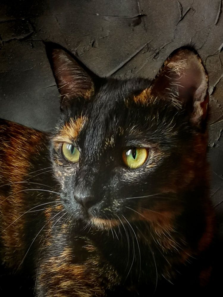 Photograph by Ирина Ветюгова