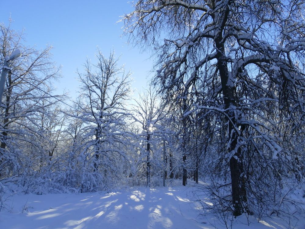 Photograph by Александр Кизим