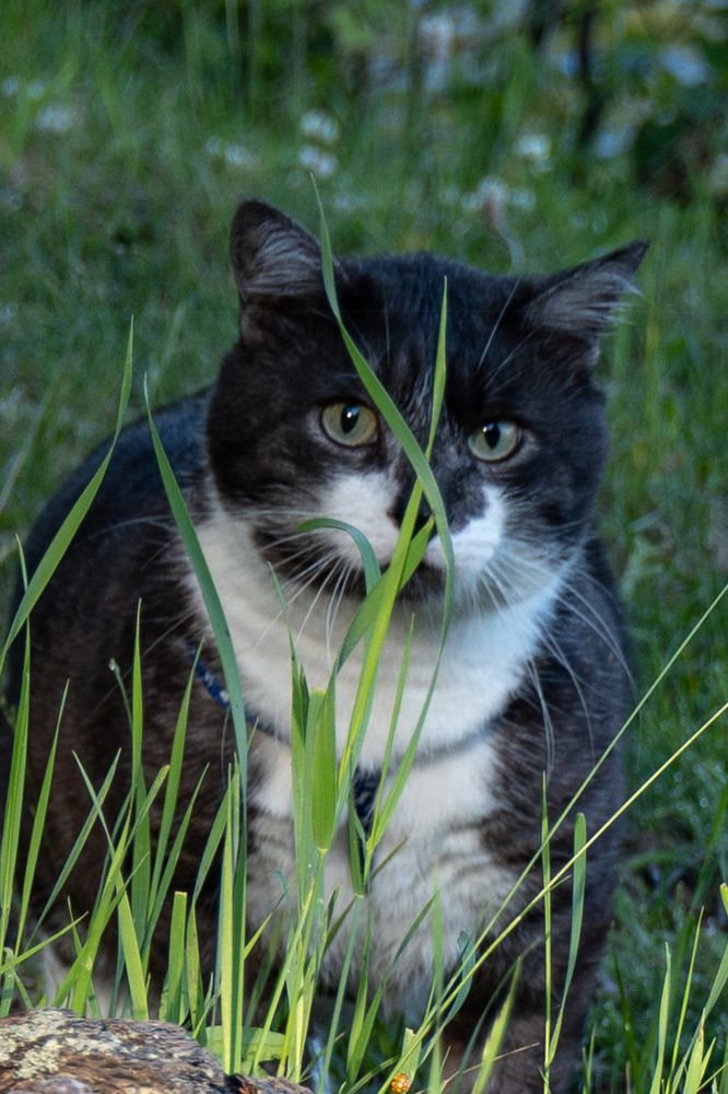 Фотография автора Марина Тирских