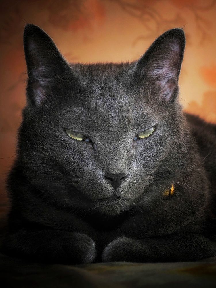 Photograph by Putra Igo