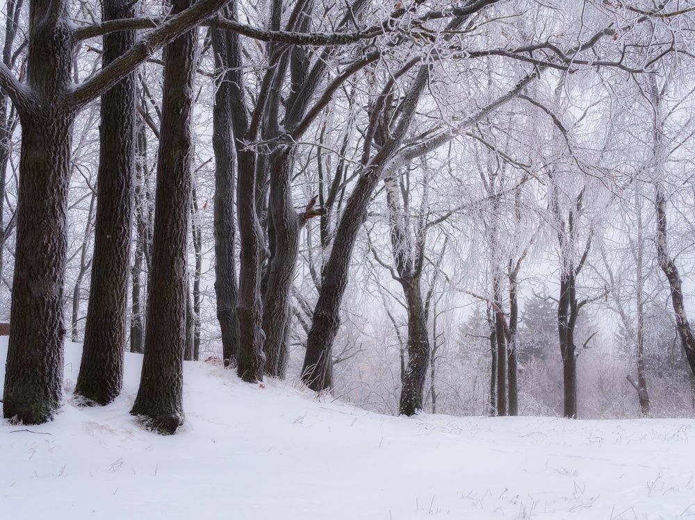 Фотография автора Андрей Врубель
