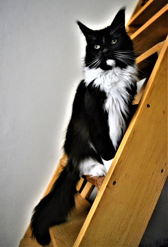 Photograph by Zdeňka Hudcová