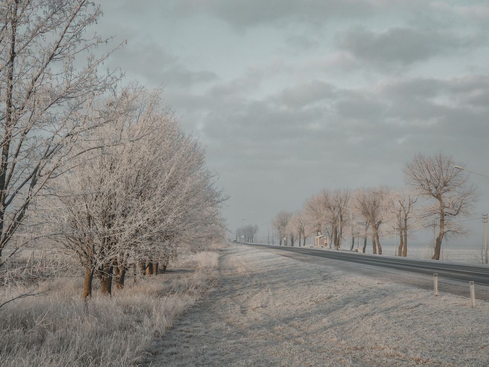 Фотография автора Александра Савельева